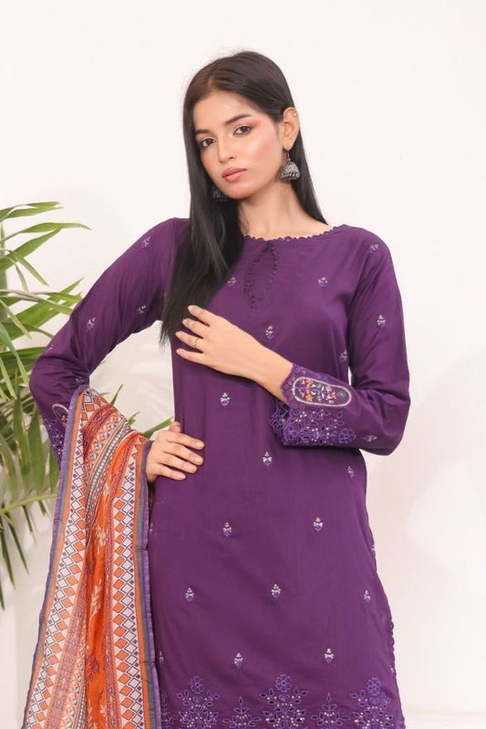 Desi festive 3-piece suit for women with kurta, trousers and dupatta

